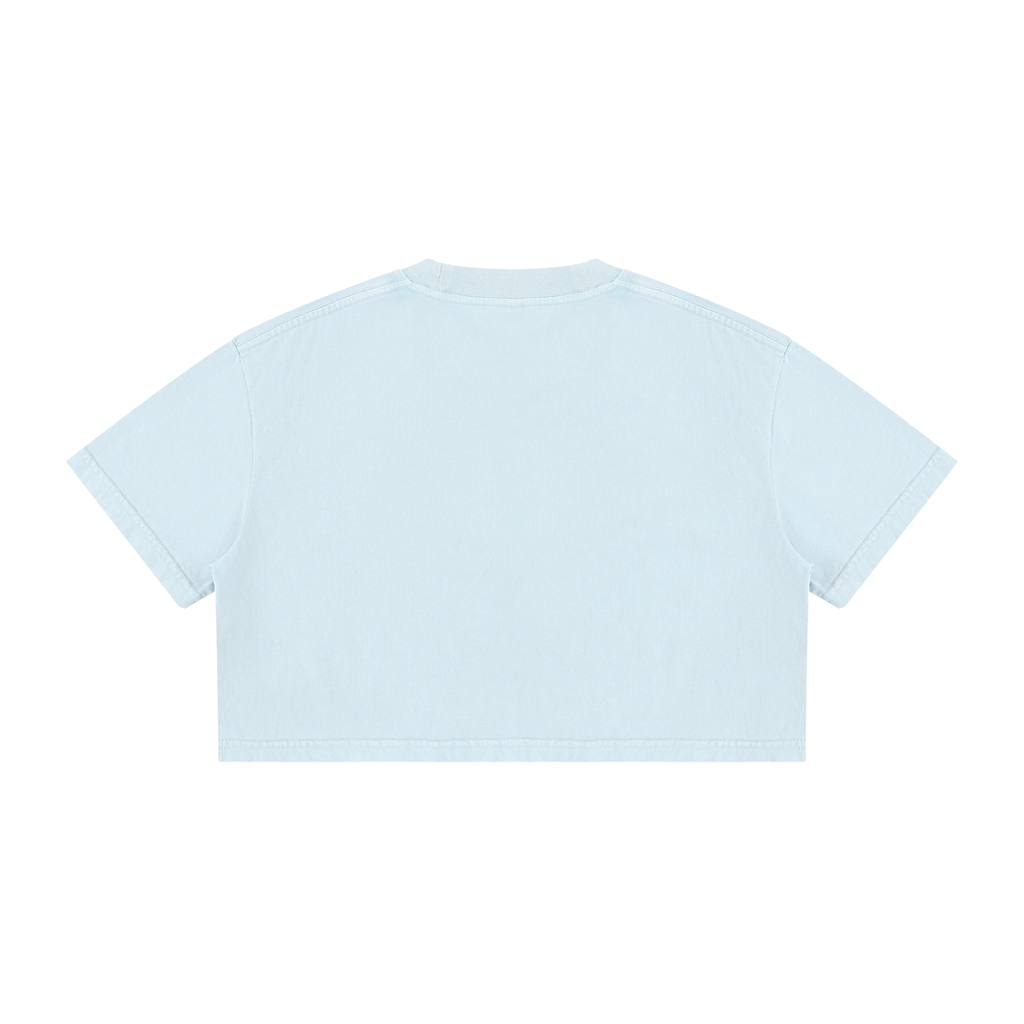 Percepcǐ Earth Wash Cotton Crop T-Shirt