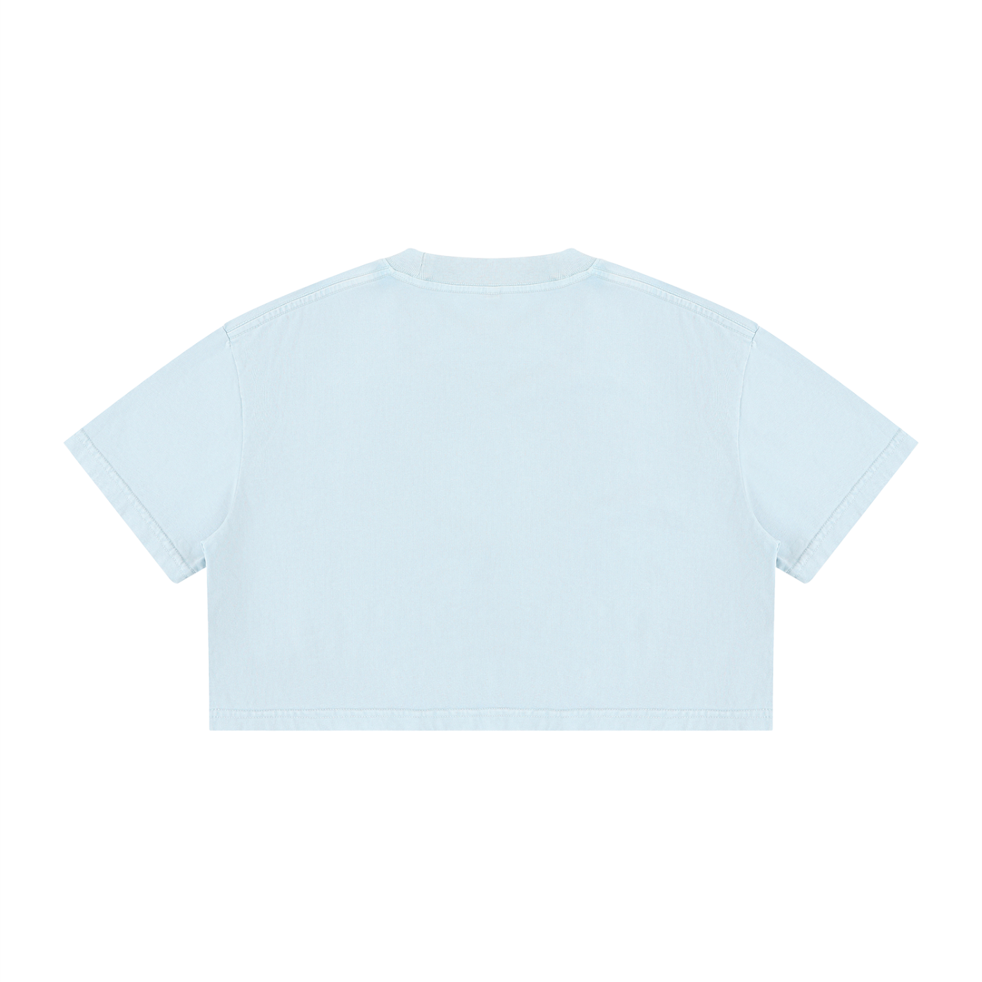 Percepcǐ Earth Wash Cotton Crop T-Shirt