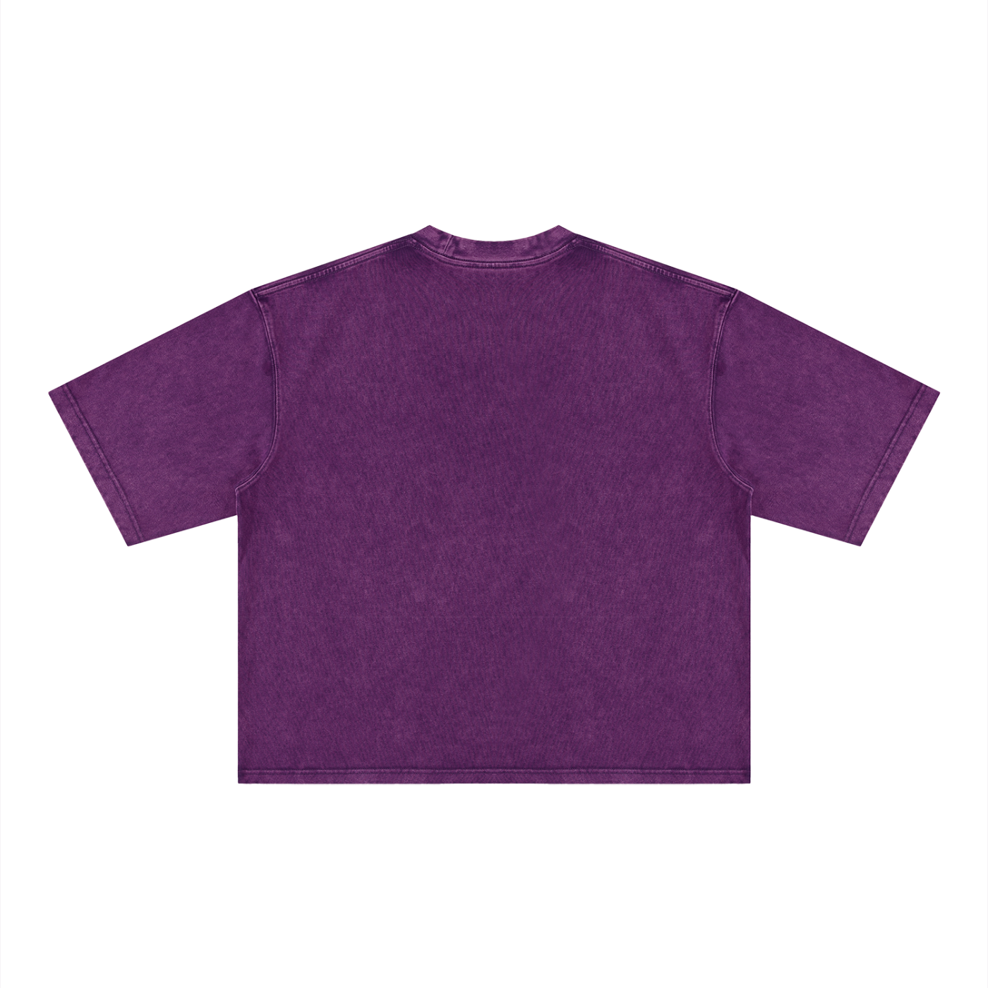 Ioñ Heavyweight Striker Washed T-Shirt(Unisex)