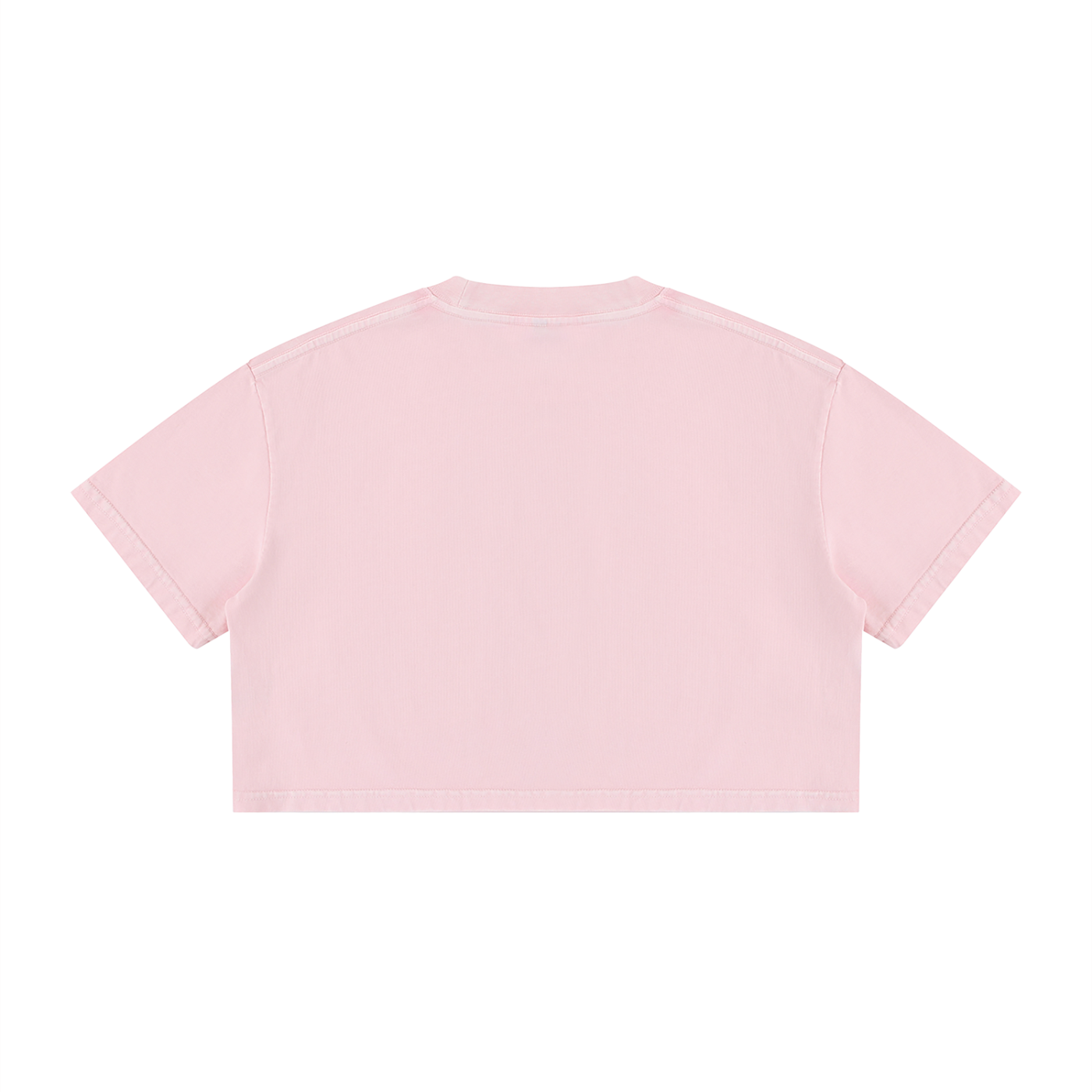 Percepcǐ Earth Wash Cotton Crop T-Shirt