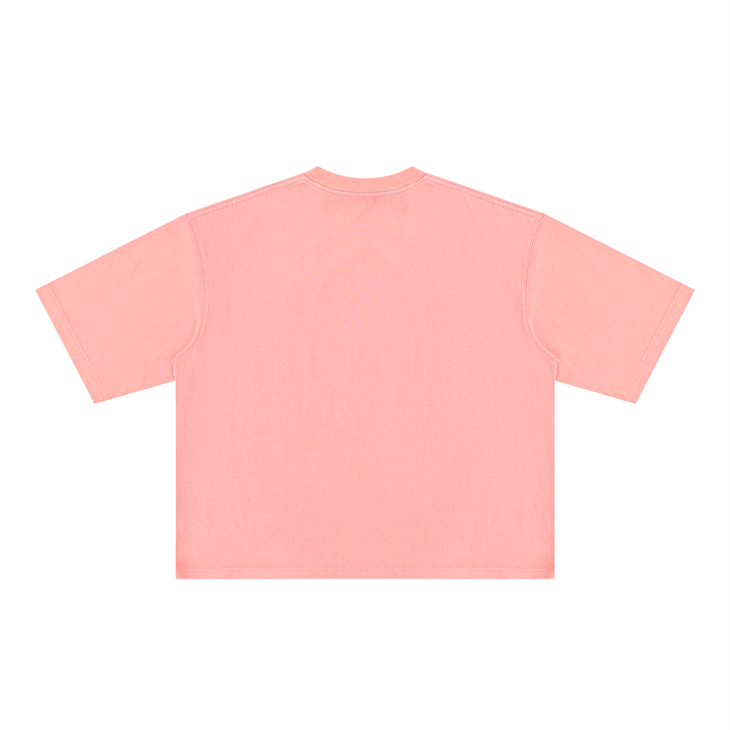 Ioñ Heavyweight Striker Washed T-Shirt(Unisex)