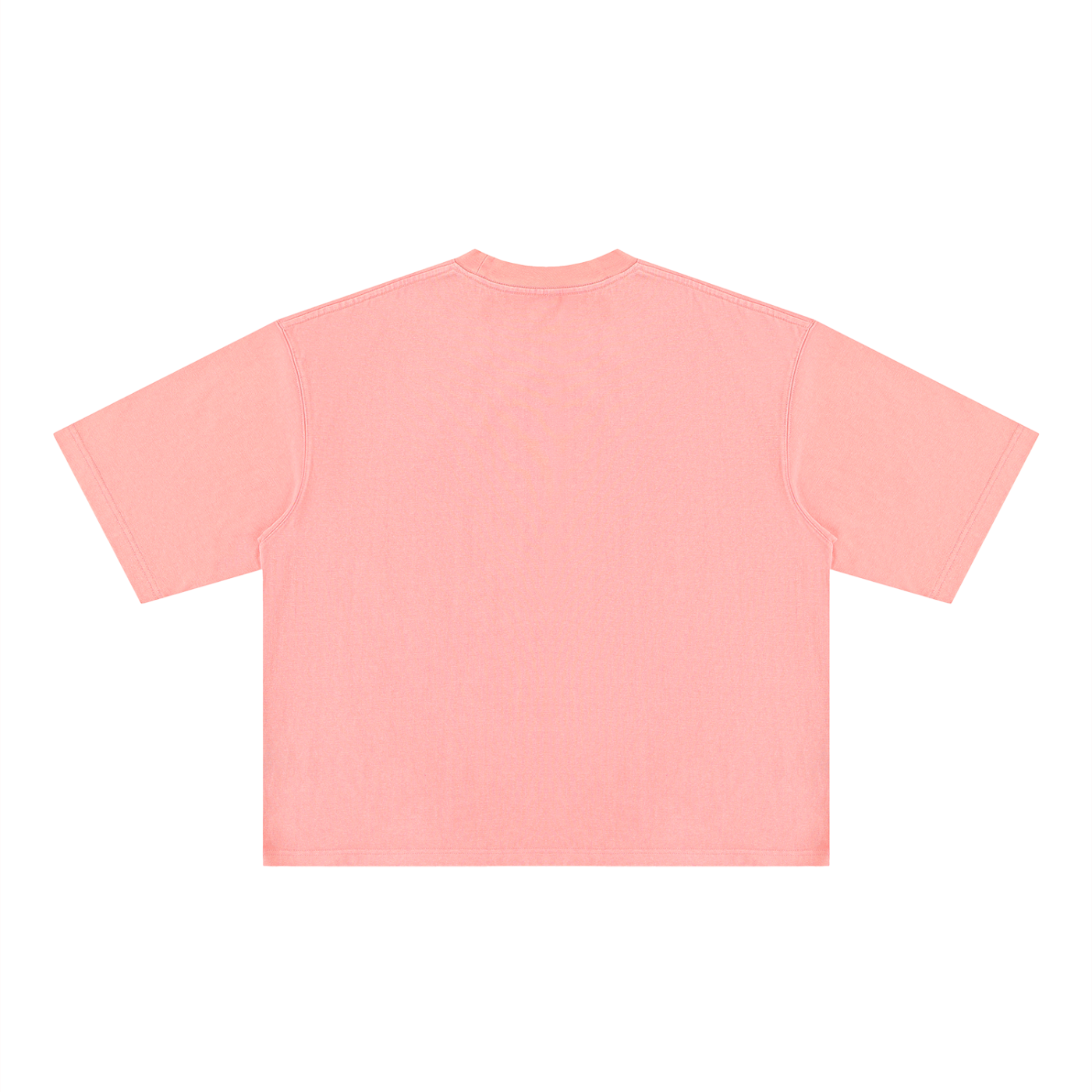 Ioñ Heavyweight Striker Washed T-Shirt(Unisex)
