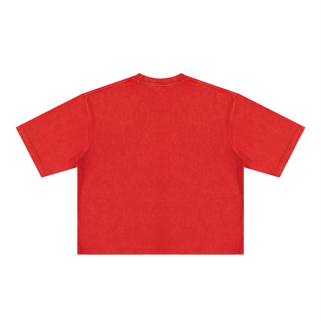 Ioñ Heavyweight Striker Washed T-Shirt(Unisex)