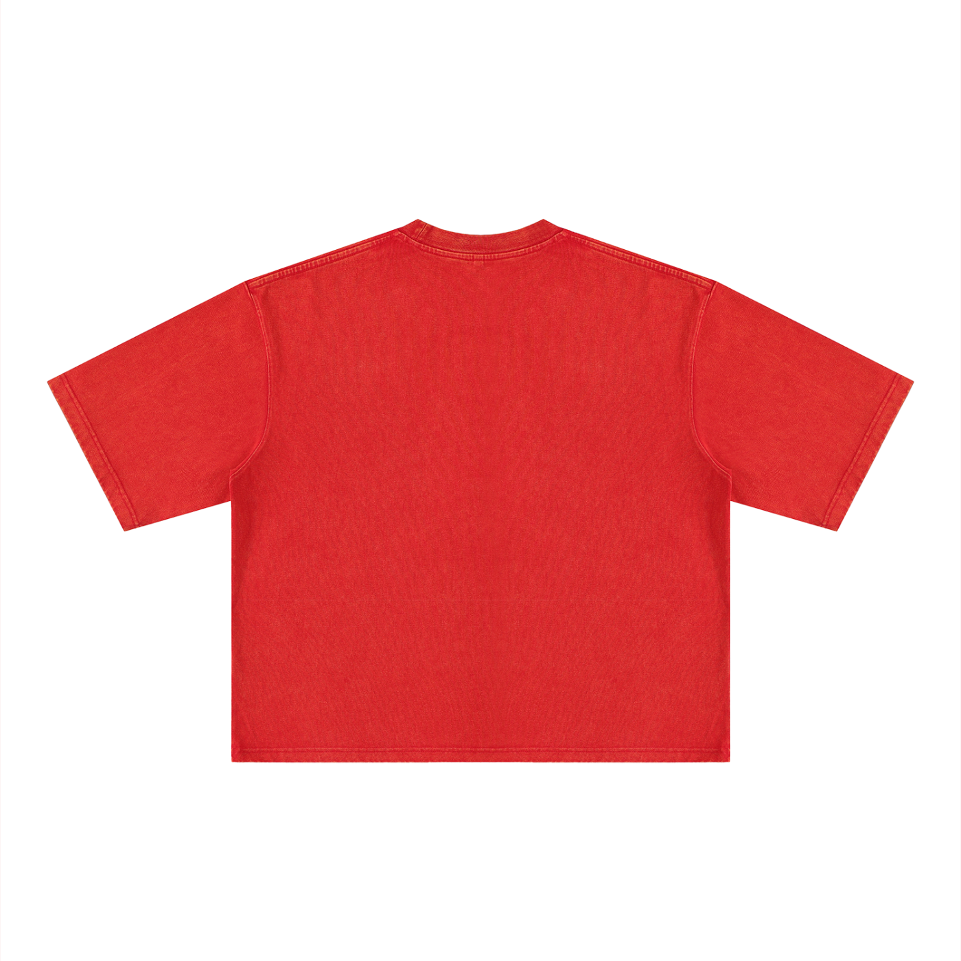 Ioñ Heavyweight Striker Washed T-Shirt(Unisex)
