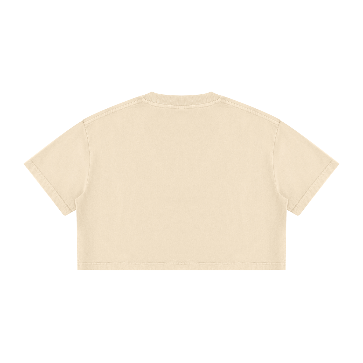 Percepcǐ Earth Wash Cotton Crop T-Shirt