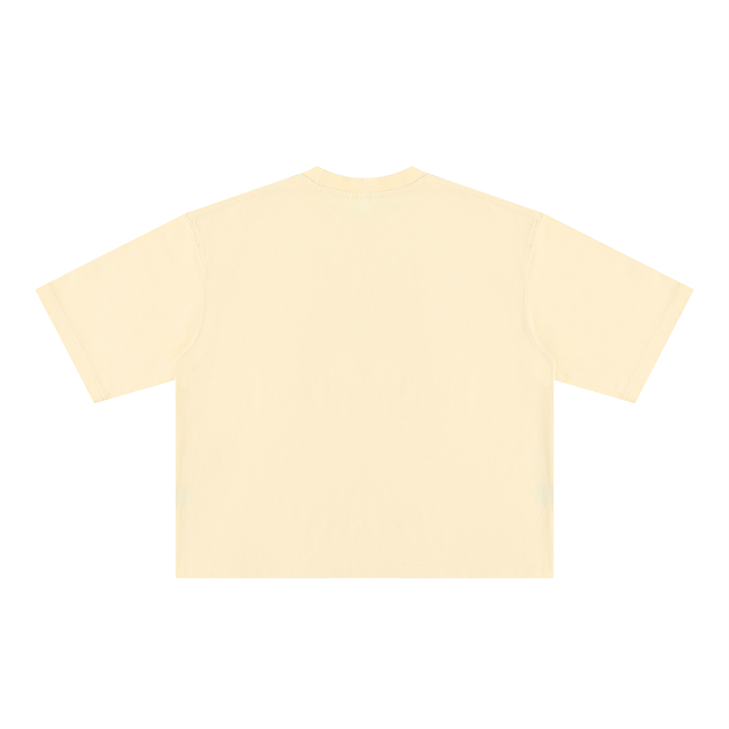 Ioñ Heavyweight Striker Washed T-Shirt(Unisex)