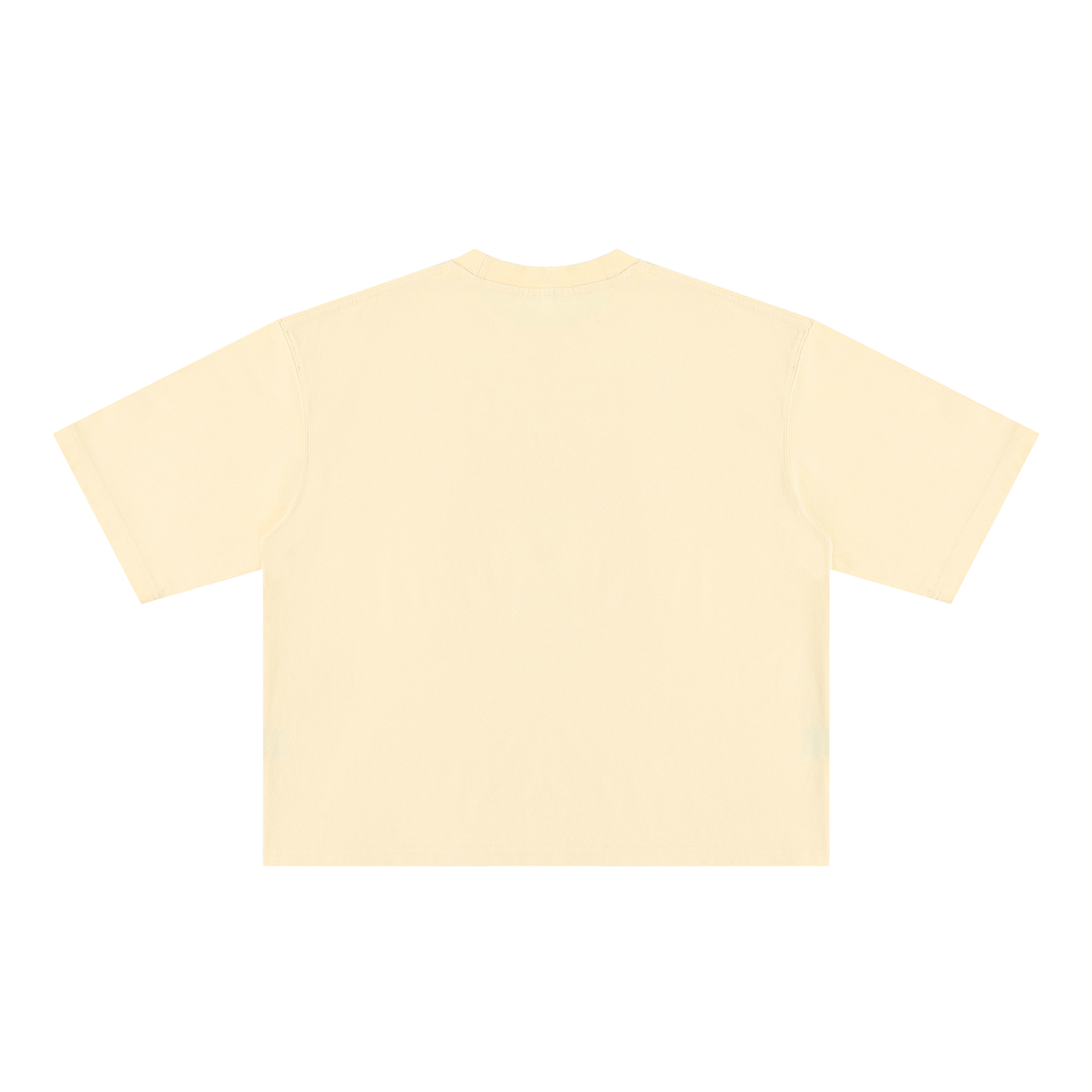 Ioñ Heavyweight Striker Washed T-Shirt(Unisex)